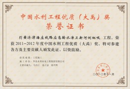 China Water Conservancy 토토 사이트 우수한 품질 (Dayu) 상 증명서