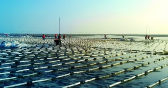 China Tianjin Eco-City Linhai New City Blowing Filling District 4567 Dongdi Road의 서쪽에있는 리필 및 진공 프리 압박 토토 결과 결과